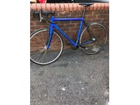 raleigh militis comp